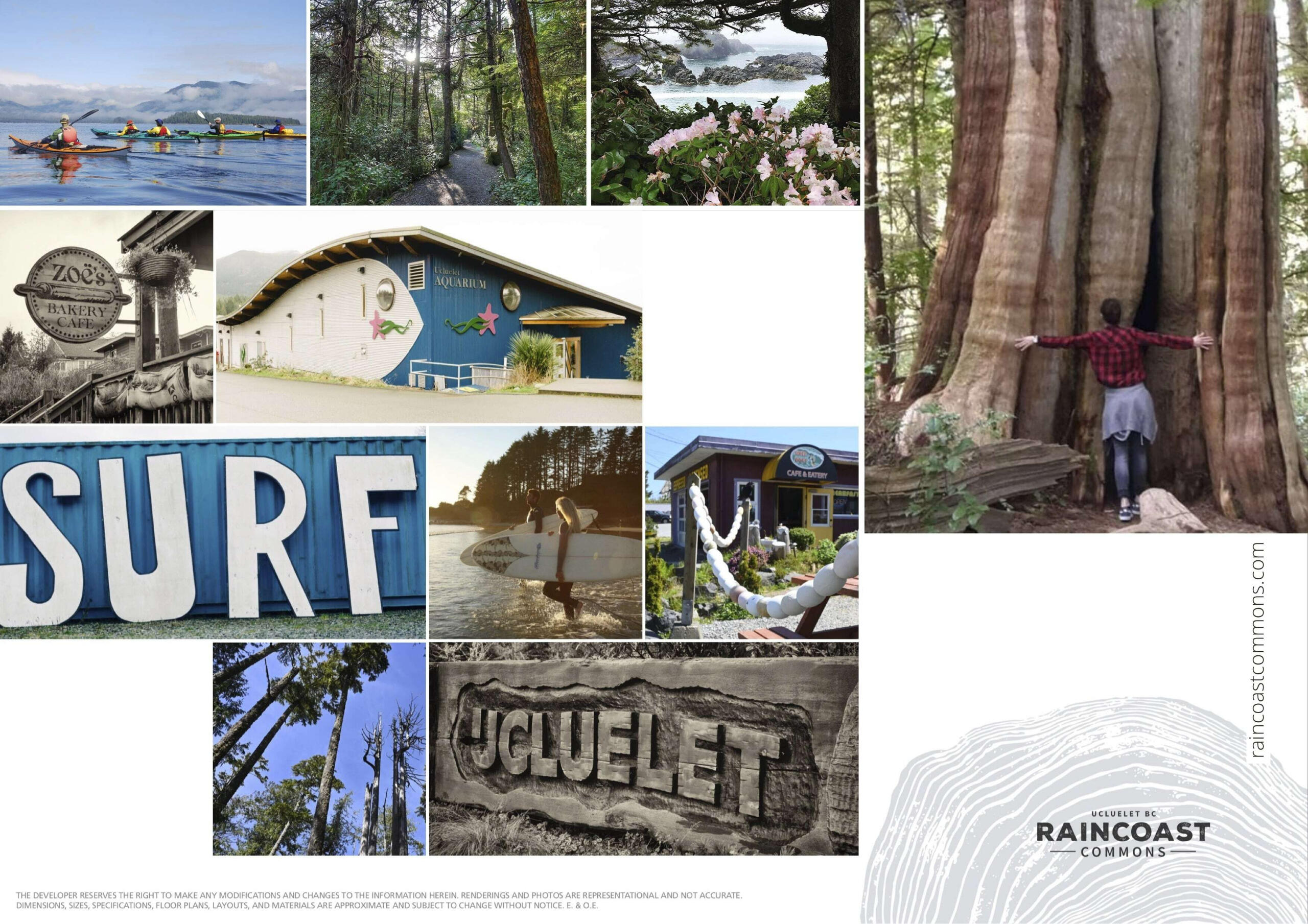 Raincoastcommons MulitGraphic min